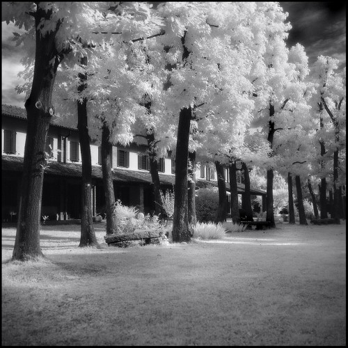 Rolleiflex_ir_850