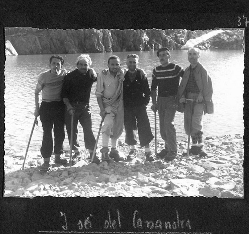 Radici