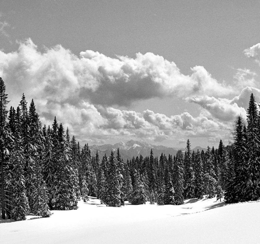 In Trentino il primo “Parco Fotografico”